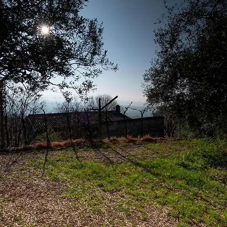 Ca Del Vajo Valpolicella House Negrar