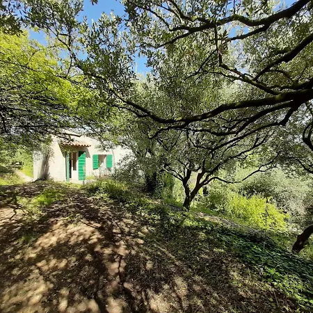 Ca Del Vajo Valpolicella House Prázdninový dům Negrar