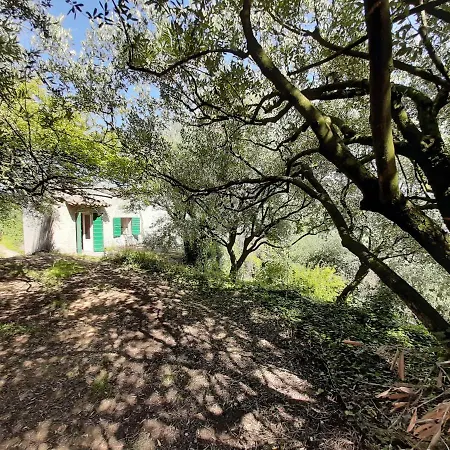 Ca Del Vajo Valpolicella House * Negrar