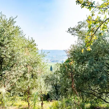 Ca Del Vajo Valpolicella House Negrar